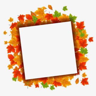 枫叶相框免抠
