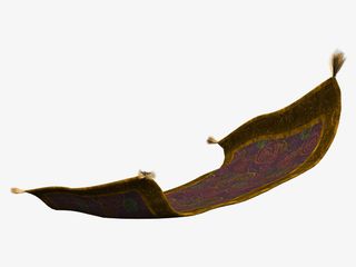 夏日 夏天 .素材 夏 立夏 暑天免抠