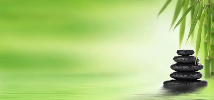 绿色禅意文化高清 绿色禅意文化高清