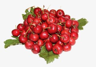 绿色食品山楂免抠