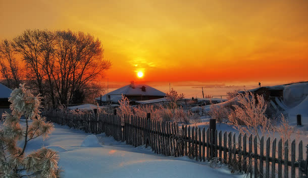 冬季夕阳雪地树林免抠