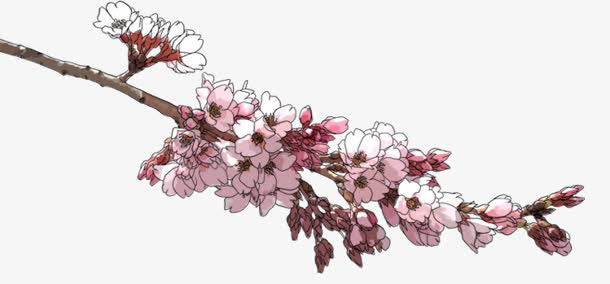 粉色桃花婚庆海报免抠