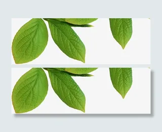 春天绿叶促销装饰免抠