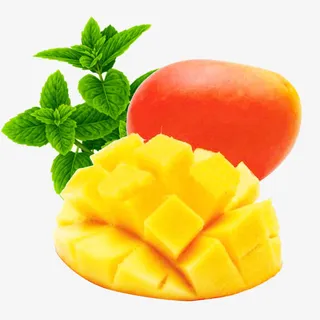 小台芒与薄荷叶图片素材免抠