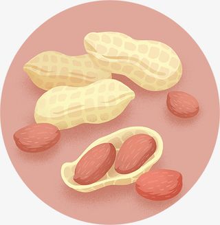 夏季花生手绘插画免抠