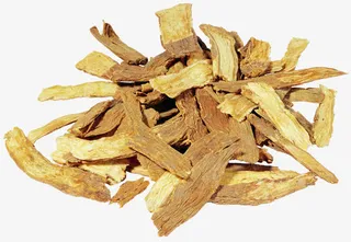 中药材续断免抠