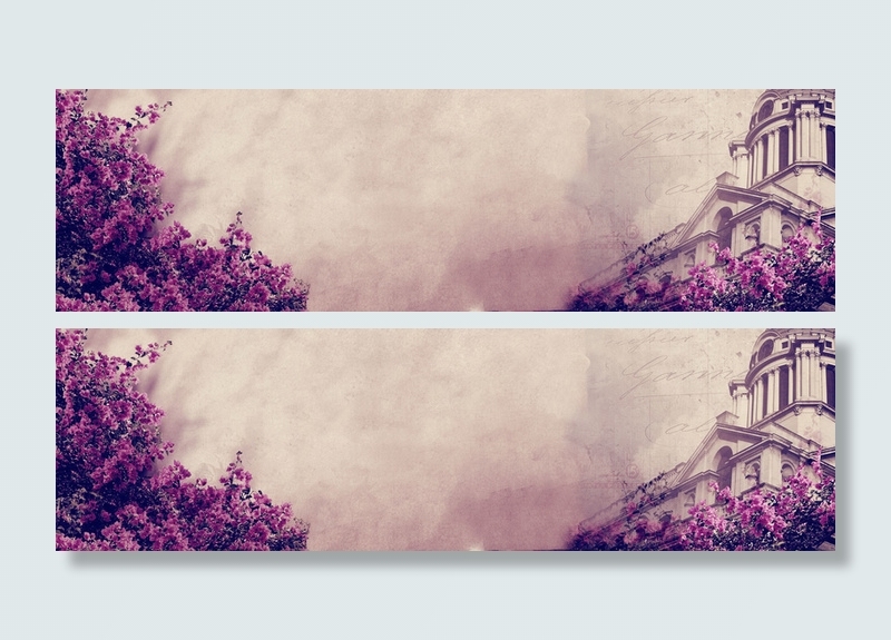 蔷薇花园背景高清