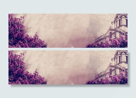 蔷薇花园背景高清