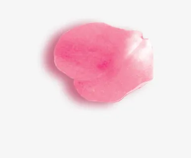 花瓣 粉色花瓣 玫瑰花瓣免抠