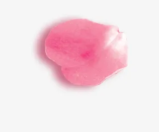 花瓣 粉色花瓣 玫瑰花瓣免抠