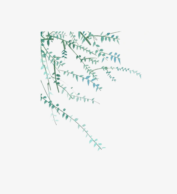 绿色的植物免抠