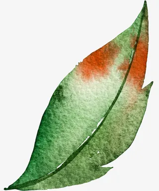 边框素材下载免抠