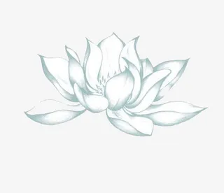 白色荷花素材免抠