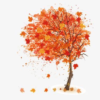 卡通树木插画背景