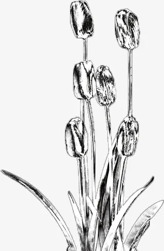 酸性金属郁金香免抠