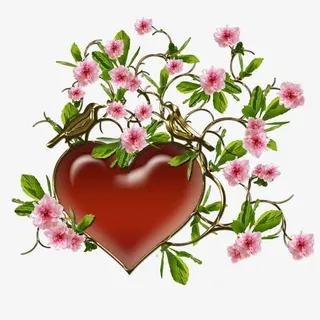 手绘花草素材花卉画免抠