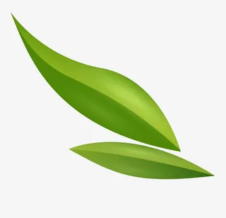 图案装饰叶子免抠