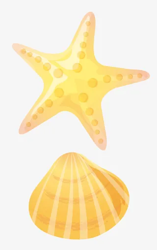 手绘海星和贝壳png免抠