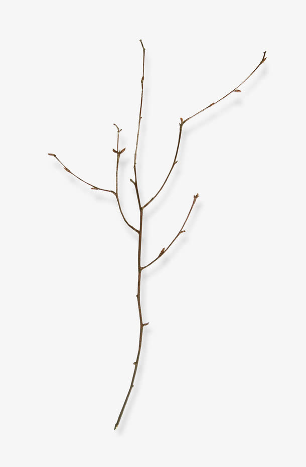 细枝免抠装饰免抠