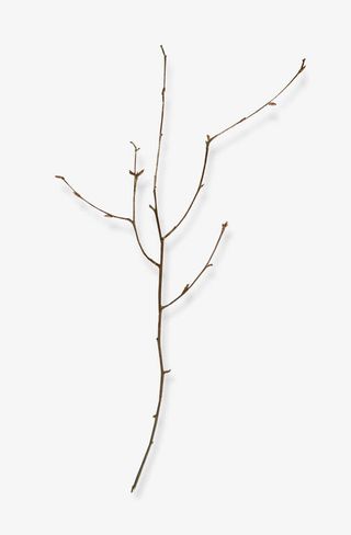 细枝免抠装饰免抠