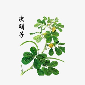 决明子彩绘图免抠