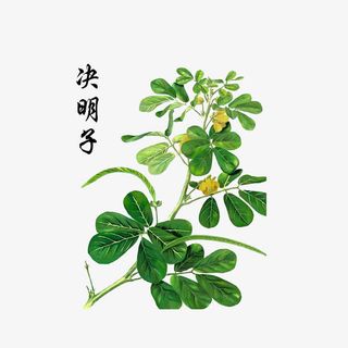 决明子彩绘图免抠