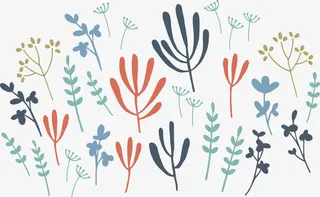 精致的色叶和花免抠