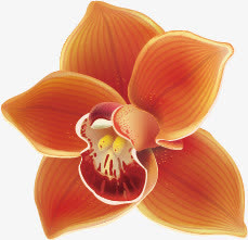 梅花，花朵，淘宝素材，花絮，矢免抠