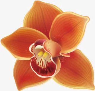 梅花，花朵，淘宝素材，花絮，矢免抠