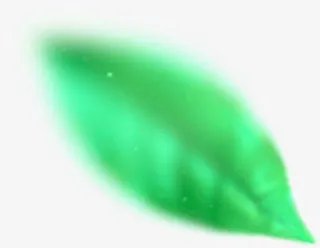 模糊叶子 png素材免扣免抠