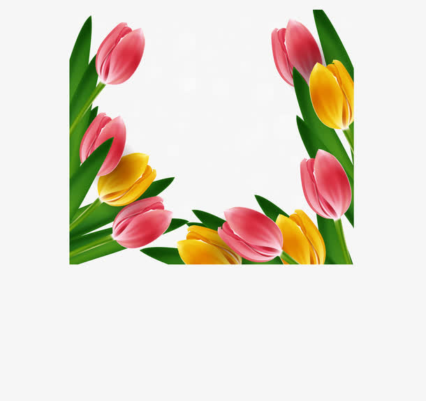 精致郁金香背景矢量素材