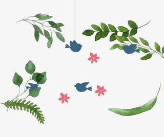 小清晰绿植免抠