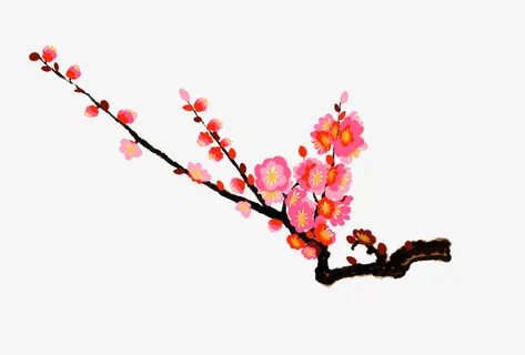 入冬冷傲风雪梅花盛开5免抠