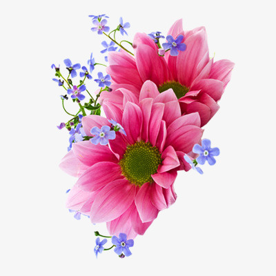 花免抠