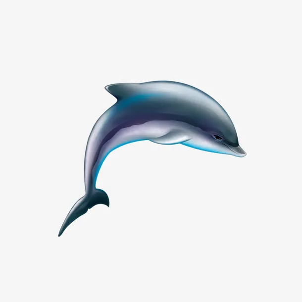 海豚免抠