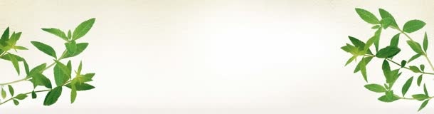 女装海报背景素材简约清新素材