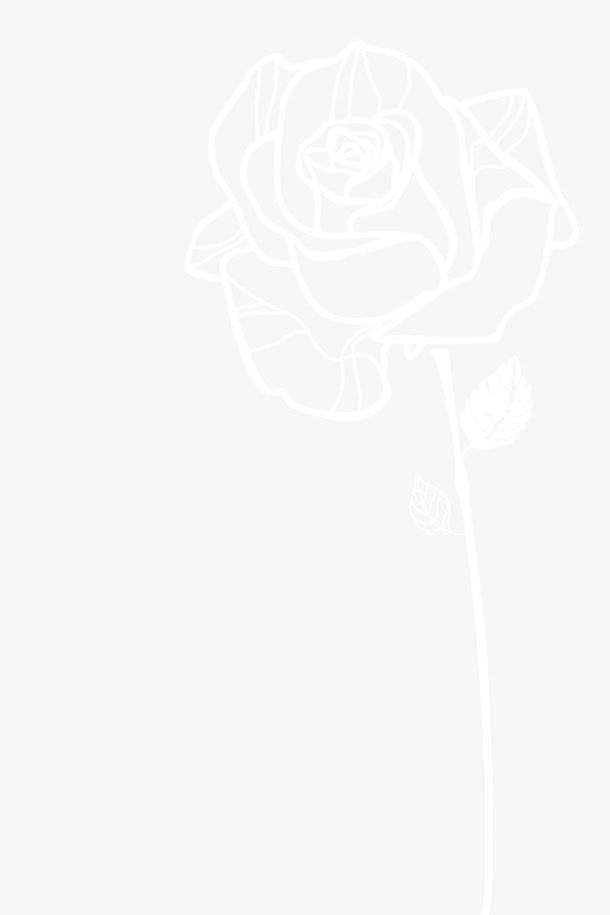 线条玫瑰免抠