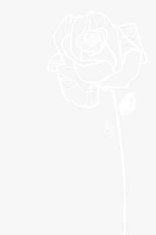 线条玫瑰免抠