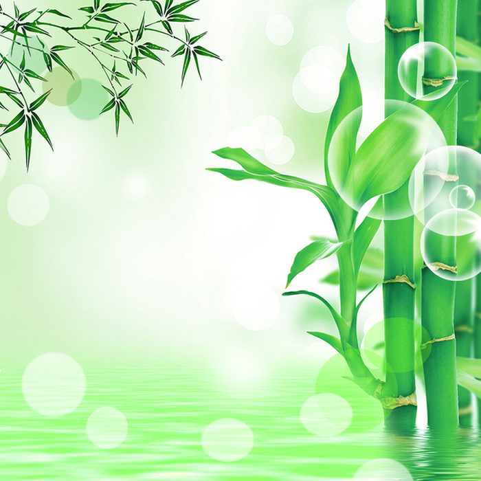 清新绿色竹林装修PSD分层主图背景素材高清