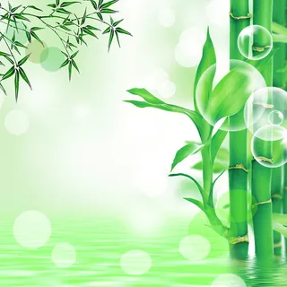 清新绿色竹林装修PSD分层主图背景素材高清