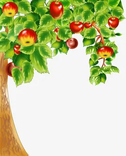 手绘苹果树免抠