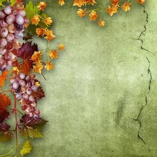 鲜花纹理背景高清 鲜花纹理背景高清