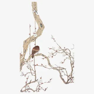 站在梅花花枝上的麻雀免抠