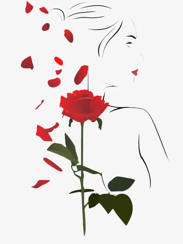 手绘玫瑰花瓣唯美插画免抠