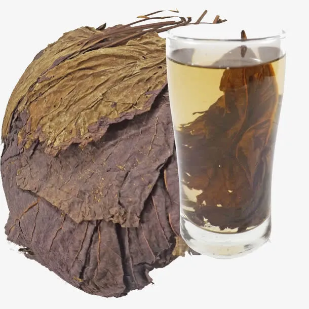 泡茶的紫苏免抠