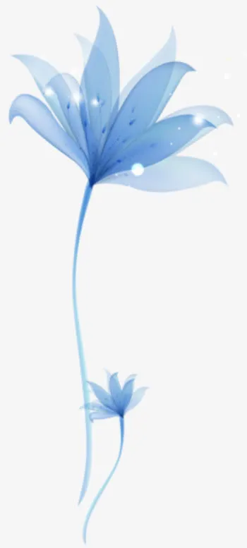 蓝色的花实物免抠