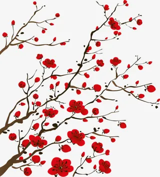 几点红梅免抠