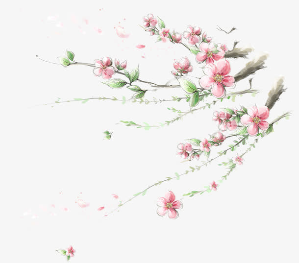 植物海报花朵树枝免抠