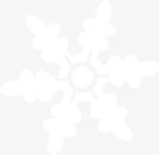 白色冬日唯美雪花免抠