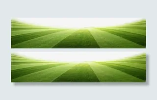 欧洲杯世界杯绿色草地免抠